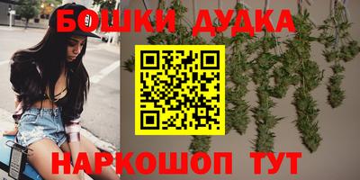 мдпв Можайск