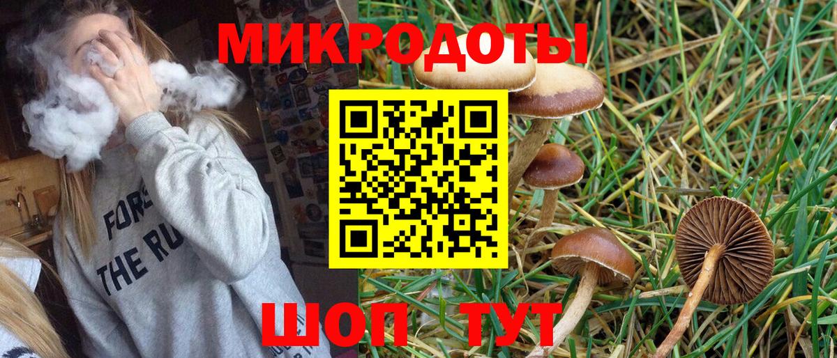 Чистополь  Галлюциногенные грибы GOLDEN TEACHER  Галлюциногенные грибы Magic Shrooms  Вход с VPN 